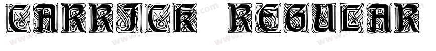 Carrick Regular字体转换